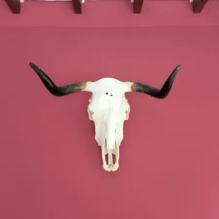 Dom wakacyjny Gueezmes