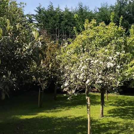 Dom wakacyjny Gueezmes *