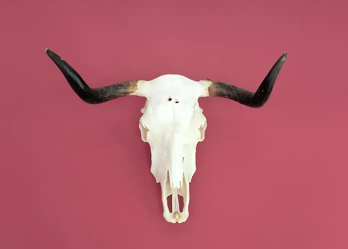 Prázdninový dům Gueezmes